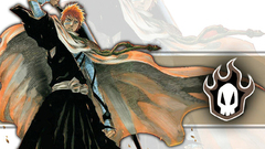 Bleach kurosaki ichigo