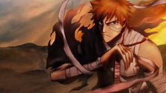 Bleach kurosaki ichigo