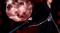 Bleach kurosaki ichigo