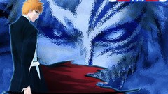Bleach kurosaki ichigo