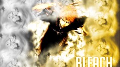 Bleach kurosaki ichigo