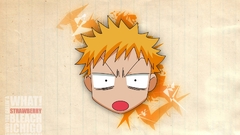 Bleach kurosaki ichigo