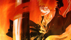 Bleach kurosaki ichigo