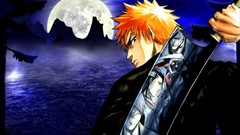 Bleach kurosaki ichigo
