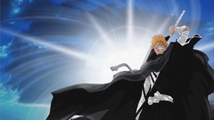 Bleach kurosaki ichigo