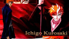 Bleach kurosaki ichigo