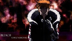 Bleach kurosaki ichigo
