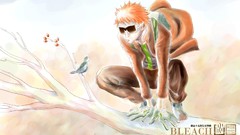 Bleach kurosaki ichigo