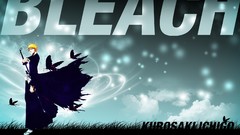 Bleach kurosaki ichigo