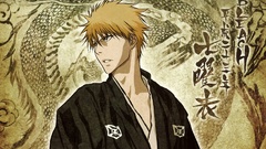 Bleach kurosaki ichigo