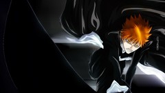 Bleach kurosaki ichigo