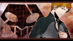 Bleach kurosaki ichigo