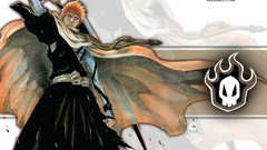 Bleach kurosaki ichigo