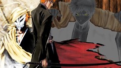 Bleach kurosaki ichigo