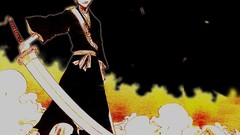 Bleach kurosaki ichigo