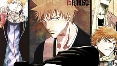 Bleach kurosaki ichigo