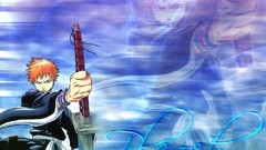 Bleach kurosaki ichigo