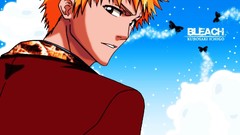 Bleach kurosaki ichigo