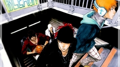 Bleach kurosaki ichigo Abarai