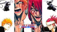 Bleach kurosaki ichigo abarai