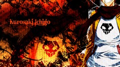 Bleach kurosaki ichigo Anime