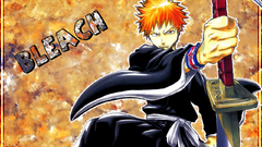 Bleach kurosaki ichigo Anime