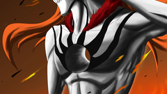 Bleach kurosaki ichigo Anime