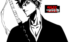 Bleach kurosaki ichigo Anime