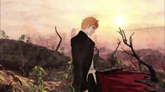 Bleach kurosaki ichigo anime boys