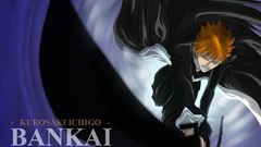 Bleach kurosaki ichigo bankai