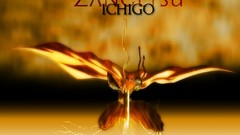 Bleach kurosaki ichigo bankai