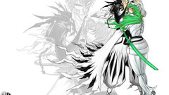 Bleach kurosaki ichigo Espada