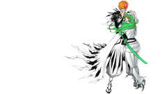 Bleach kurosaki ichigo Espada