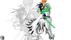 Bleach kurosaki ichigo Espada