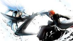 Bleach kurosaki ichigo Espada