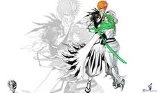 Bleach kurosaki ichigo Espada