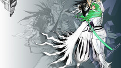 Bleach kurosaki ichigo Espada