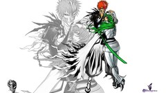 Bleach kurosaki ichigo Espada