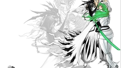 Bleach kurosaki ichigo Espada