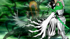 Bleach kurosaki ichigo Espada