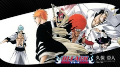 Bleach kurosaki ichigo Espada