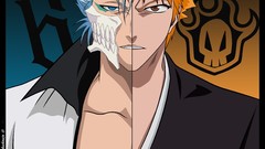 Bleach kurosaki ichigo Espada grimmjow jaegerjaquez