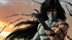 Bleach kurosaki ichigo Final