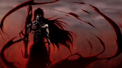 Bleach kurosaki ichigo Final