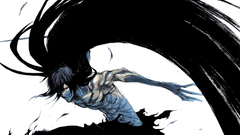 Bleach kurosaki ichigo final