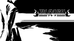 Bleach kurosaki ichigo grayscale