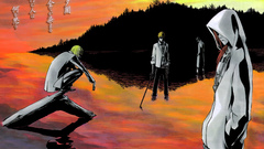 Bleach kurosaki ichigo Hirako