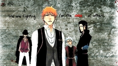 Bleach kurosaki ichigo hirako