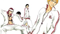 Bleach kurosaki ichigo Hisagi