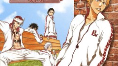 Bleach kurosaki ichigo hisagi